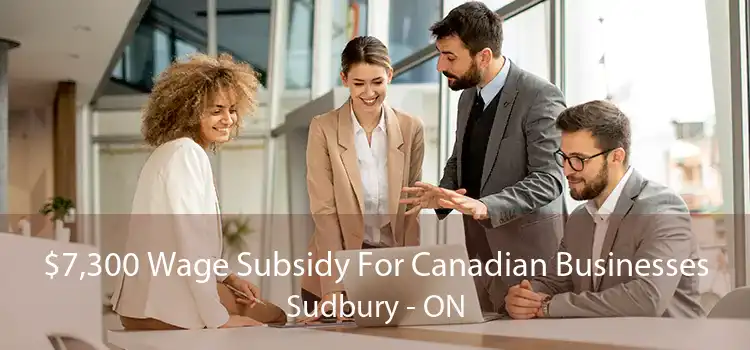 $7,300 Wage Subsidy For Canadian Businesses Sudbury - ON